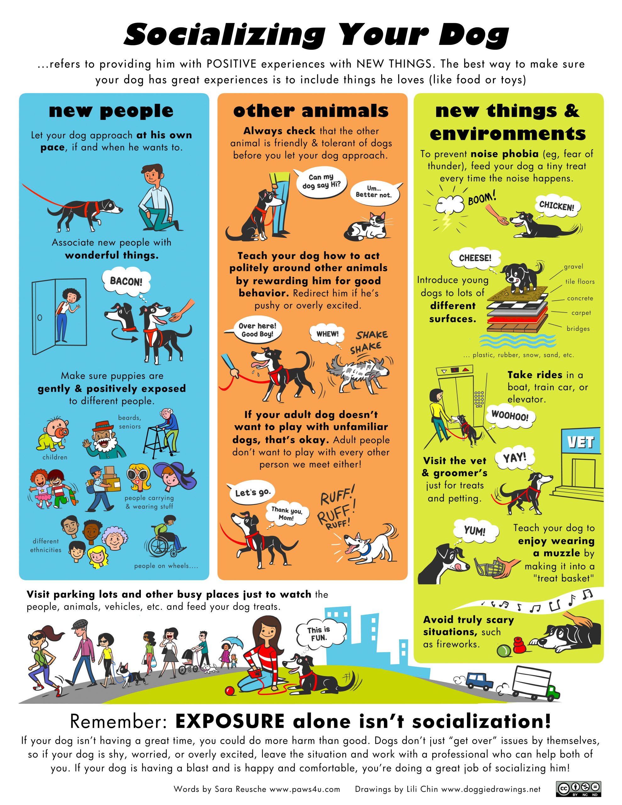 how to socialize a puppy with other dogs quick fun tips 1 scaled