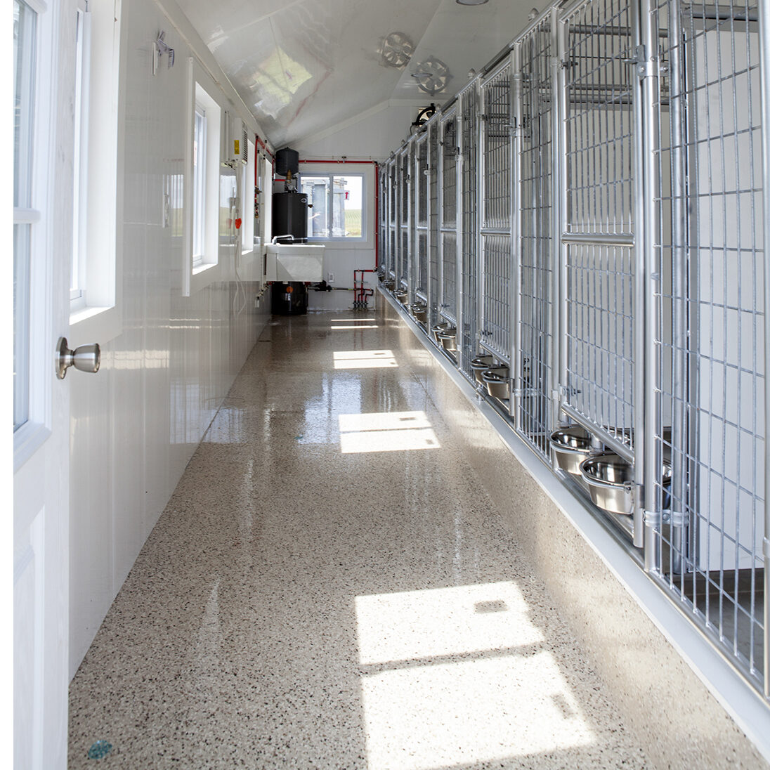 How to Start a Dog Kennel for Breeding: Insider Tips