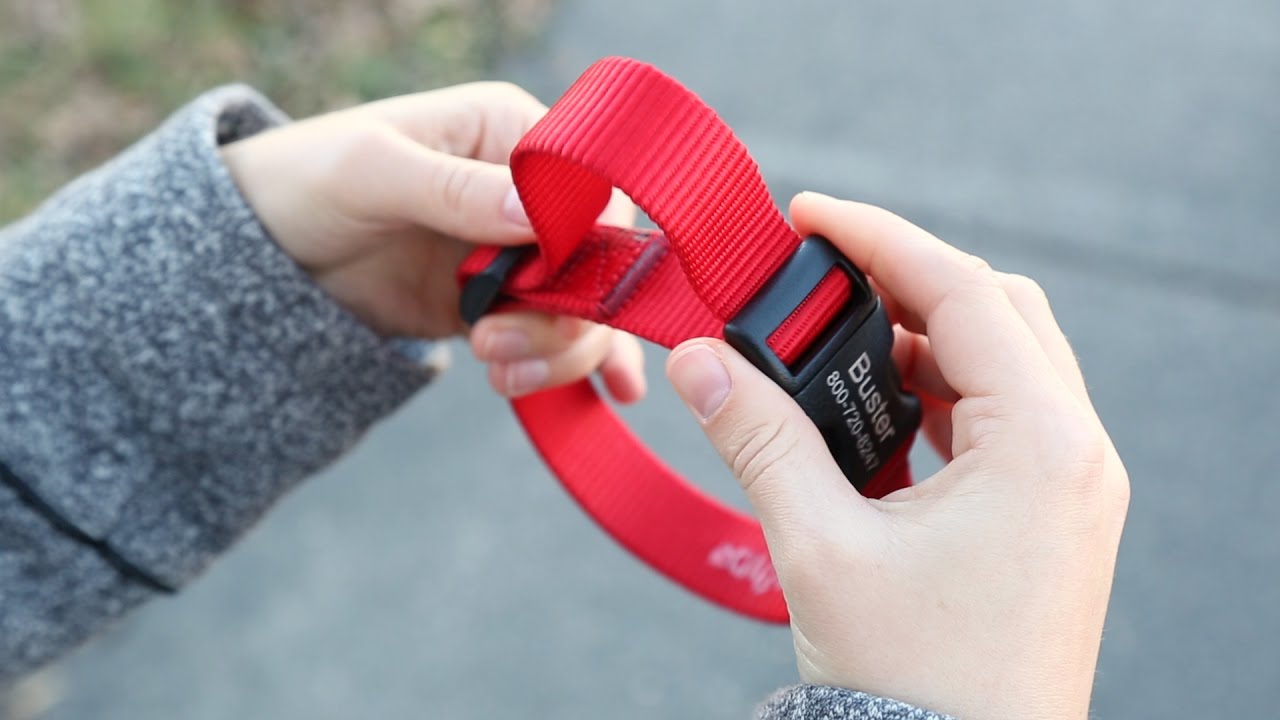 how to stop dog collar from loosening quick