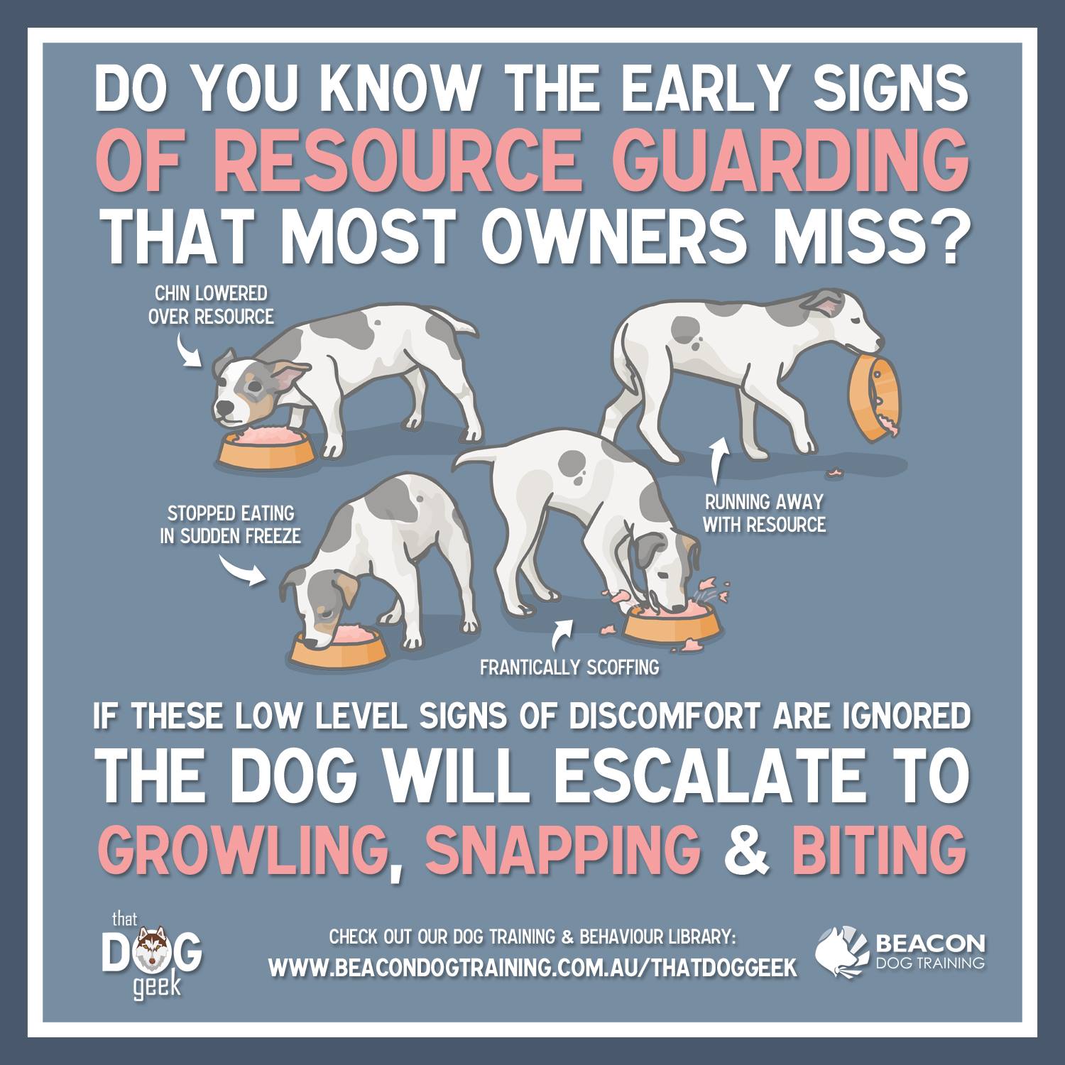 how to stop dog guarding toys easy and effective tips