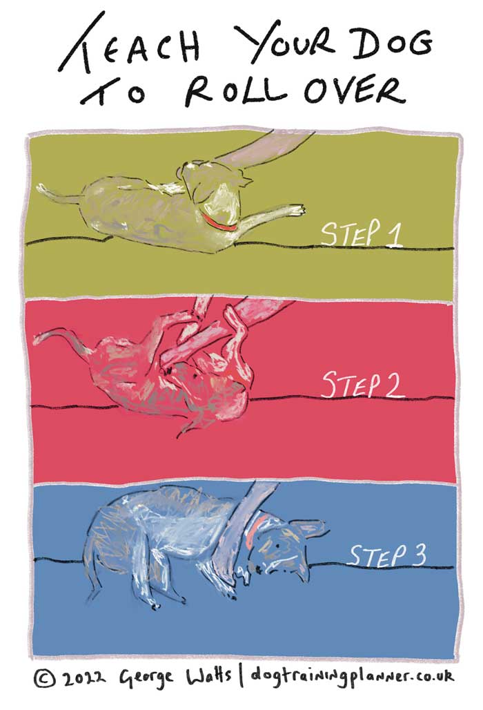 How to Teach a Dog to Roll Over: Step-by-Step Guide