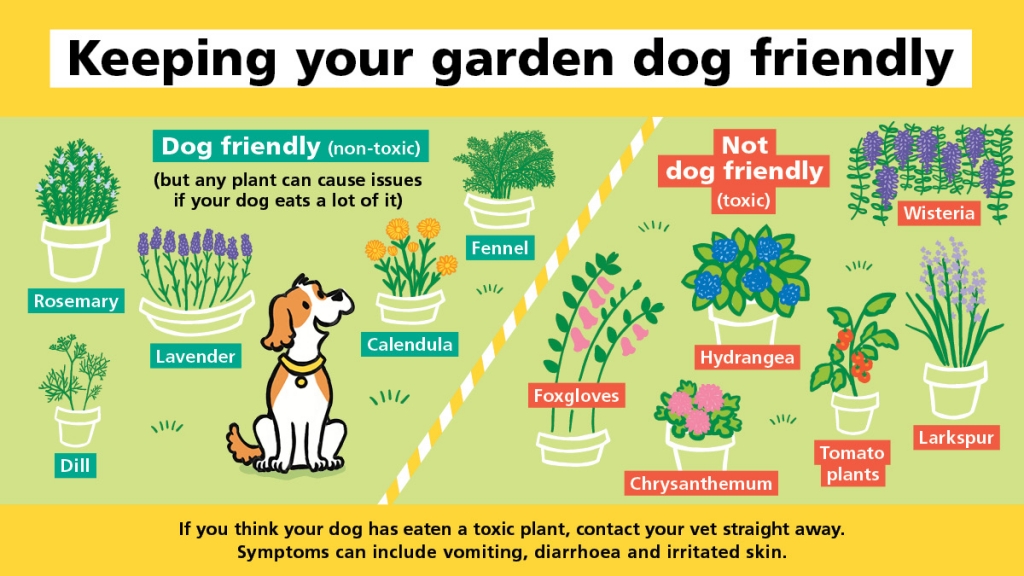 How to Train a Dog to Avoid Toxic Plants: Essential Tips