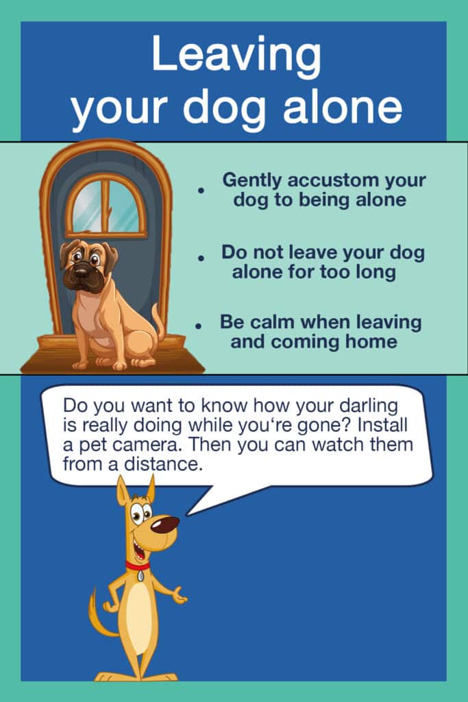 How to Train a Dog to Be Left Alone: Expert Tips & Tricks