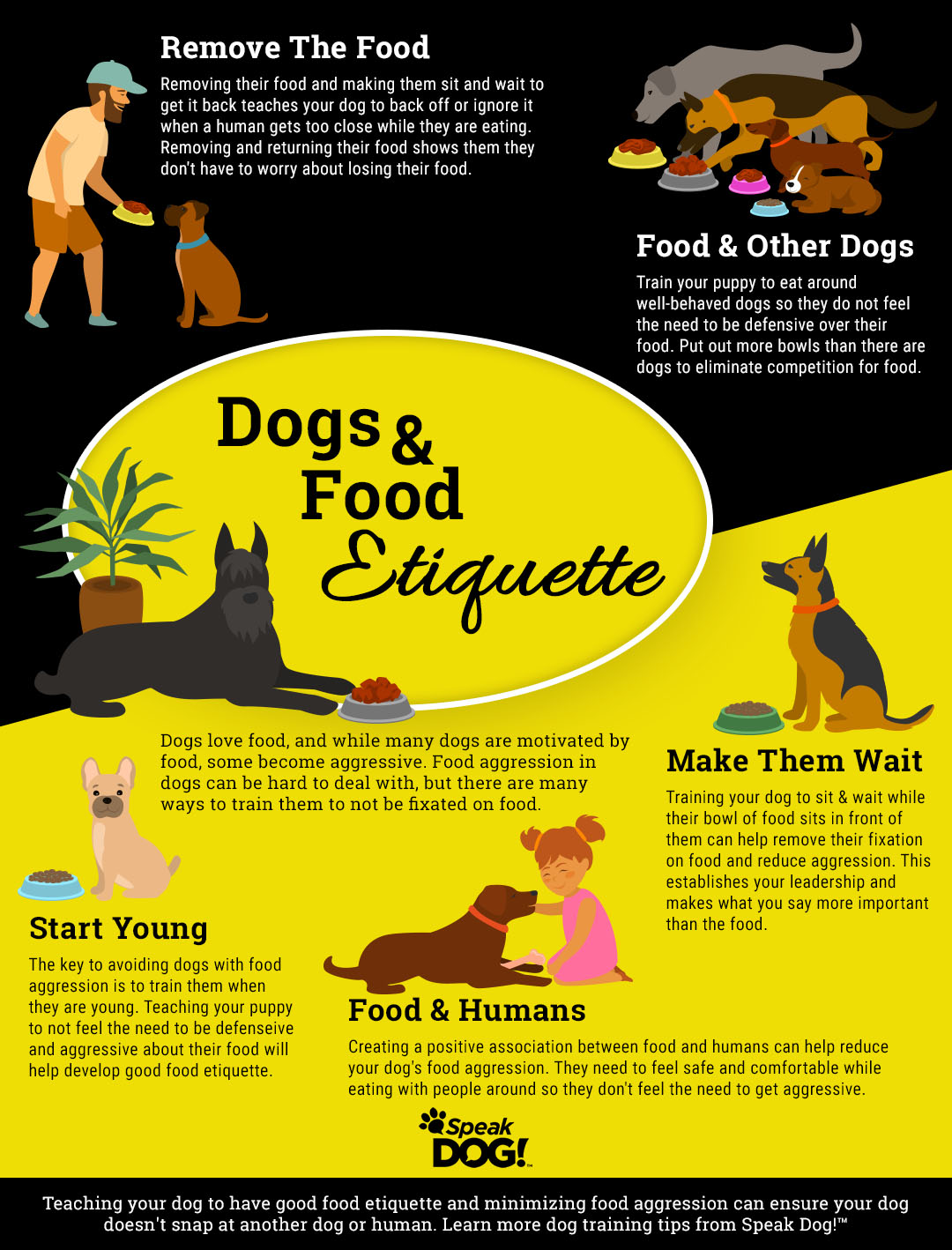 How to Train a Dog to Not Be Food Aggressive: Pro Tips