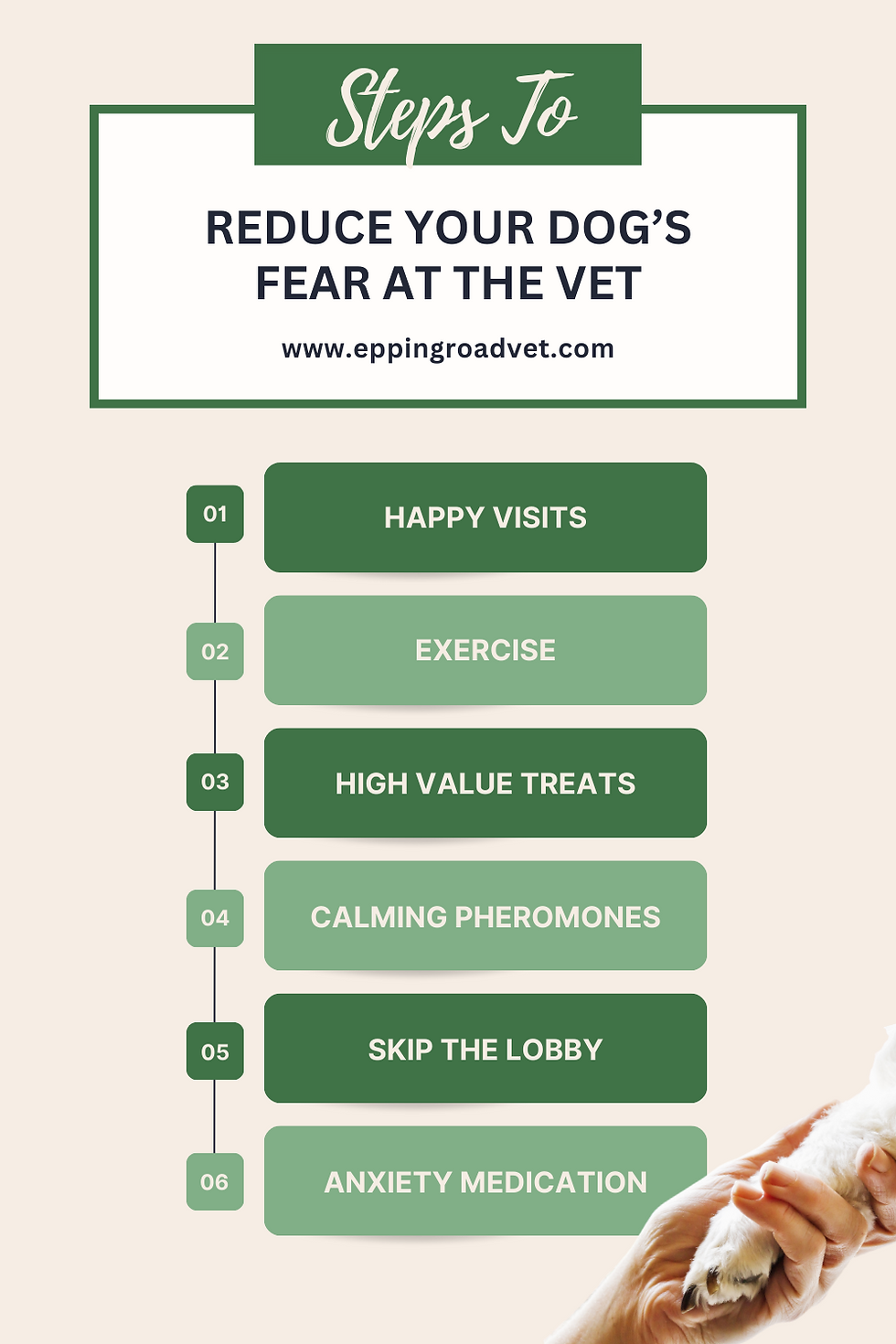how to train a dog to not fear the vet easy steps