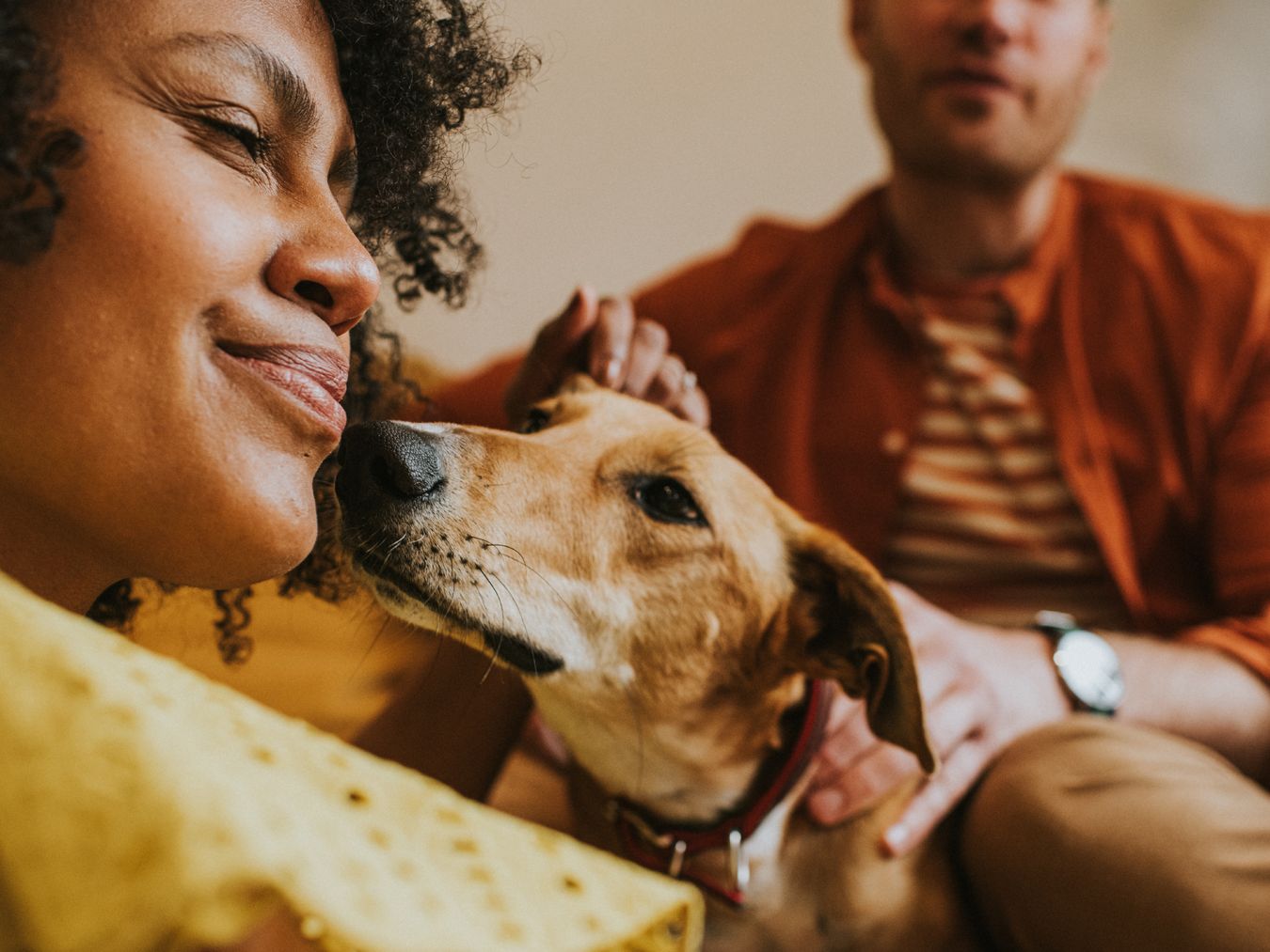 How to Train a Dog to Respect Personal Space: 5 Expert Tips