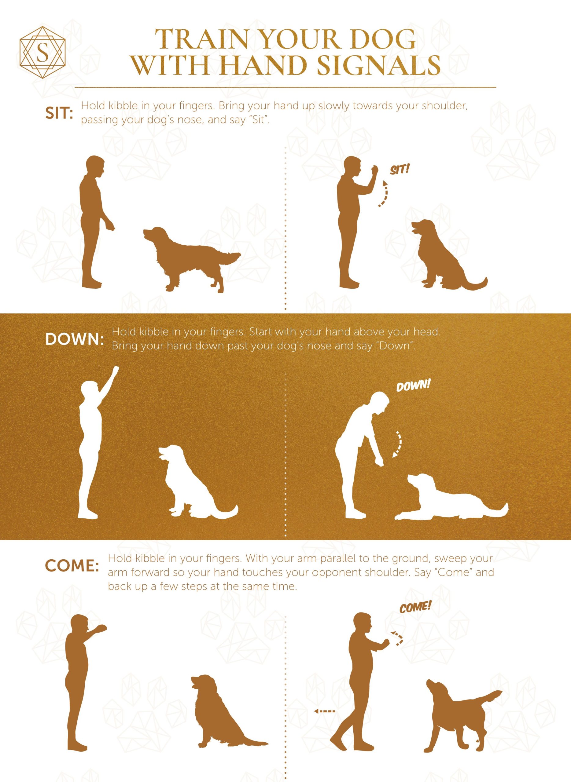 how to train a dog to respond to hand signals quick guide scaled
