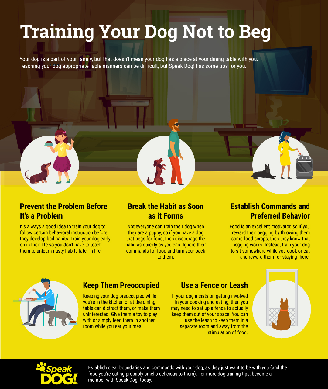 how to train a dog to stop begging for food expert tips