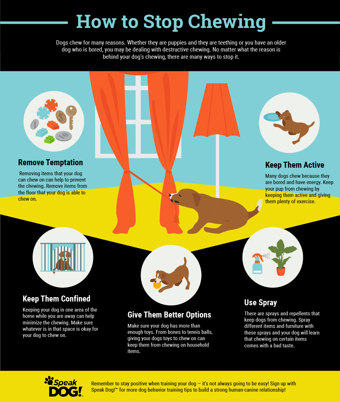 How to Train a Dog to Stop Chewing: Effective Tips