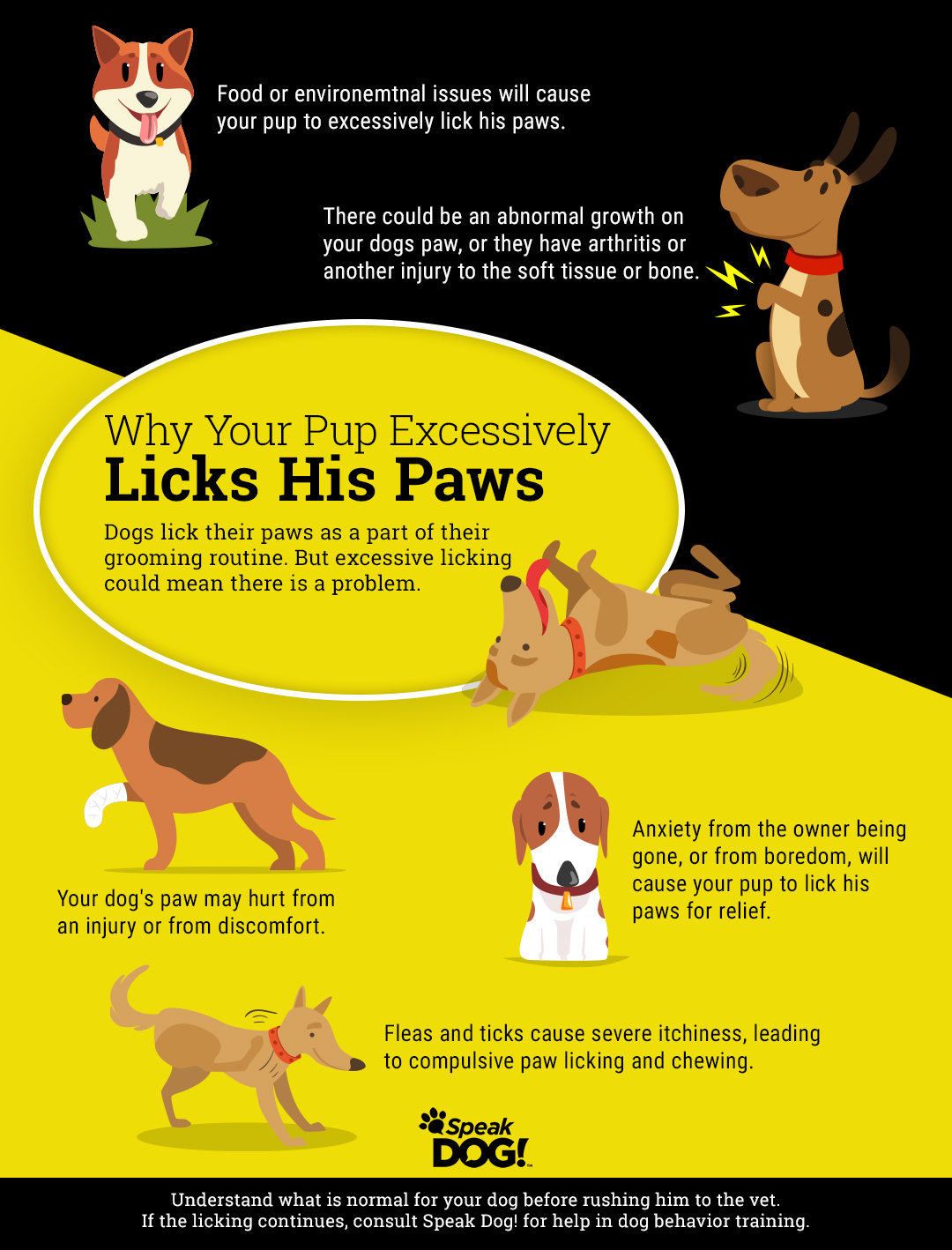 How to Train a Dog to Stop Licking Excessively: Quick Tips