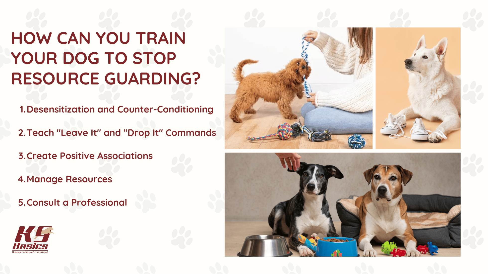 How to Train a Dog to Stop Playing Rough: Gentle Techniques