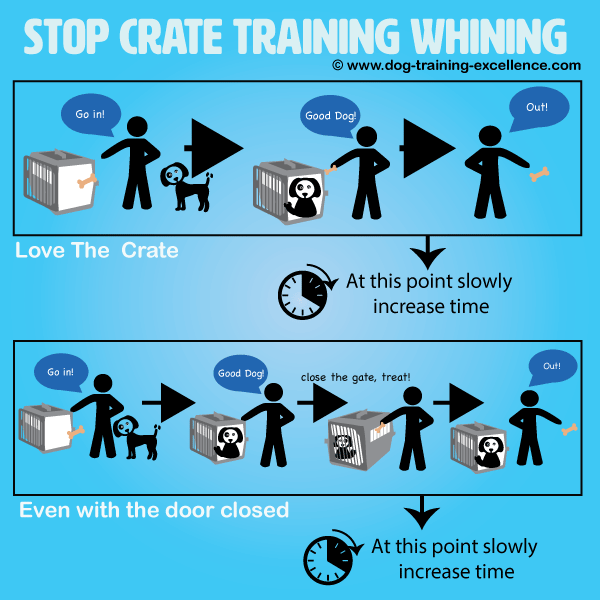 How to Train a Dog to Stop Whining: Quick Tips