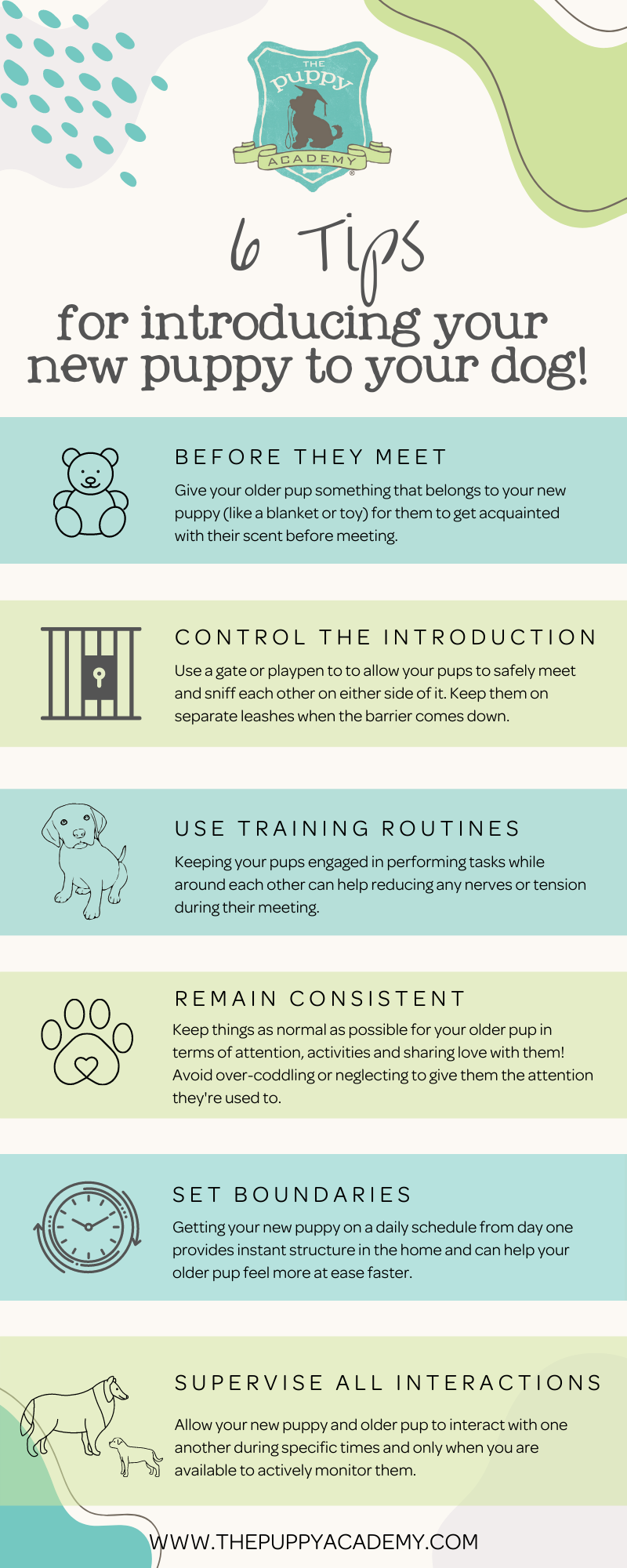 how to train a dog to welcome new family members easily