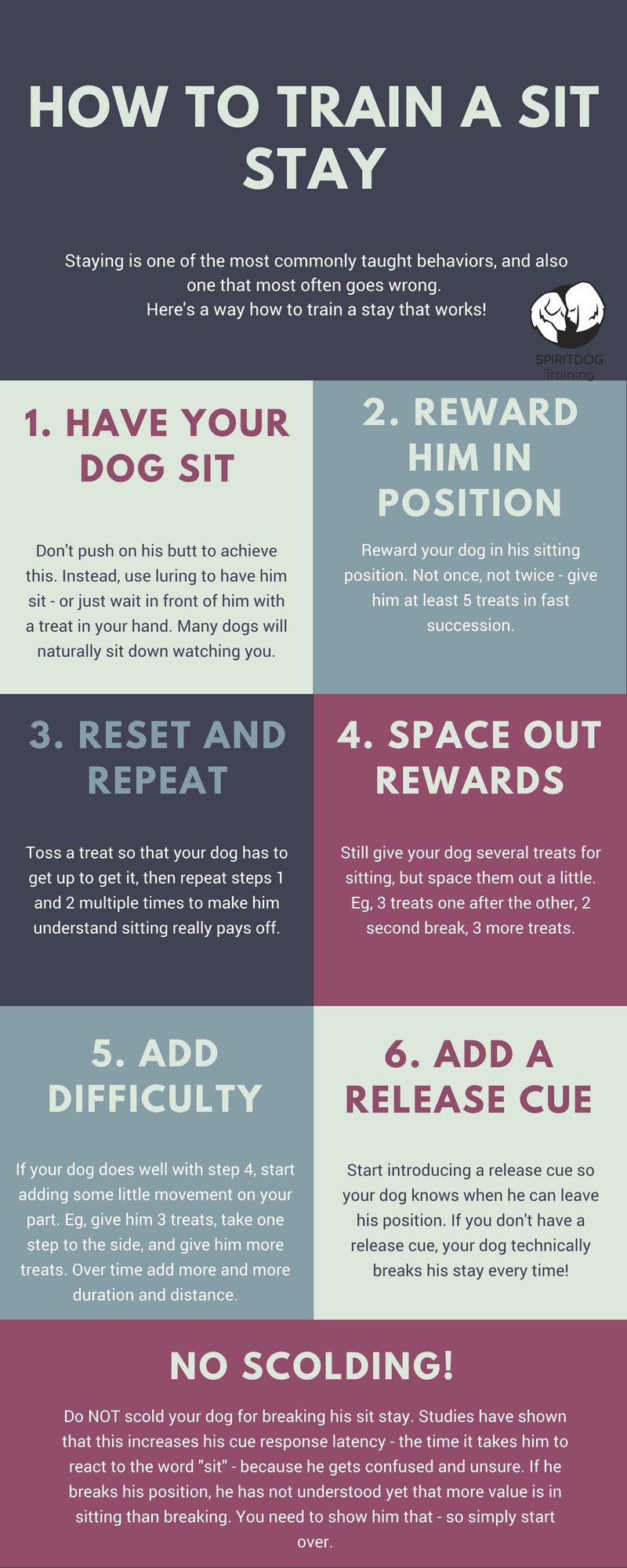 How to Train a Puppy to Sit: Simple Steps for Success