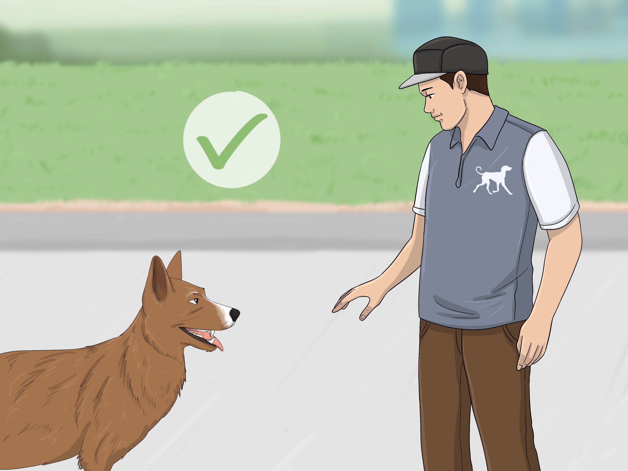 how to train your dog to not bark at strangers expert tips scaled