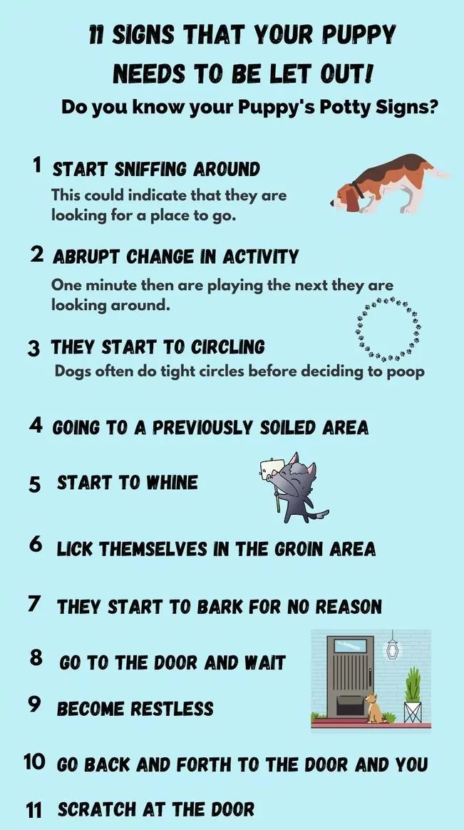 How to Train Your Dog to Pee Outside: Quick Tips