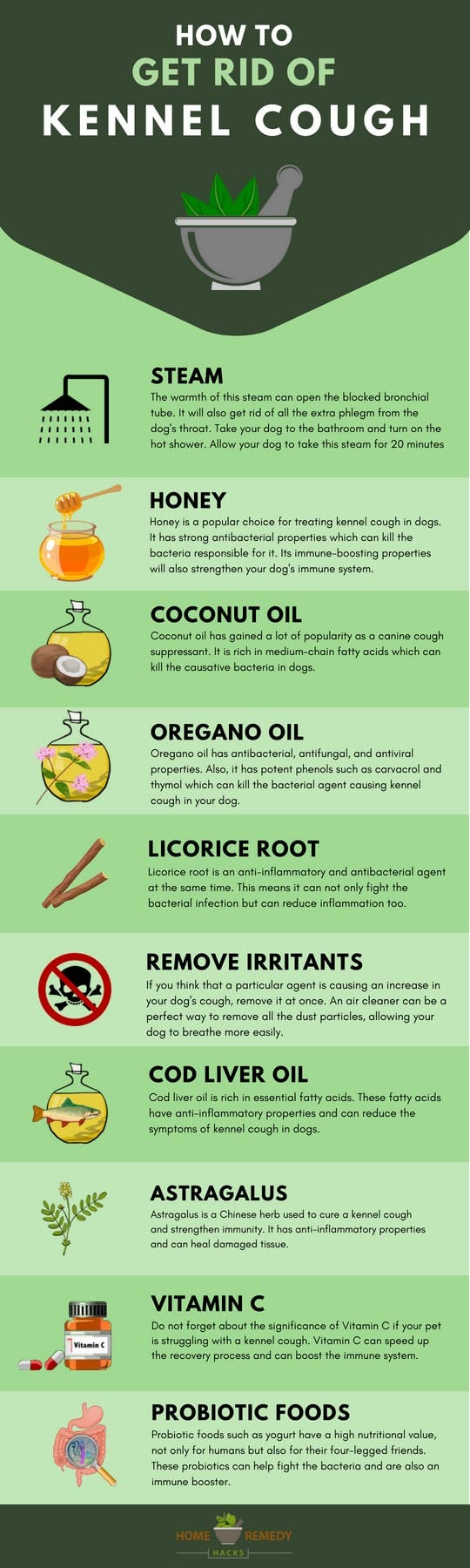 How to Treat Dog Coughing at Home: Easy Remedies