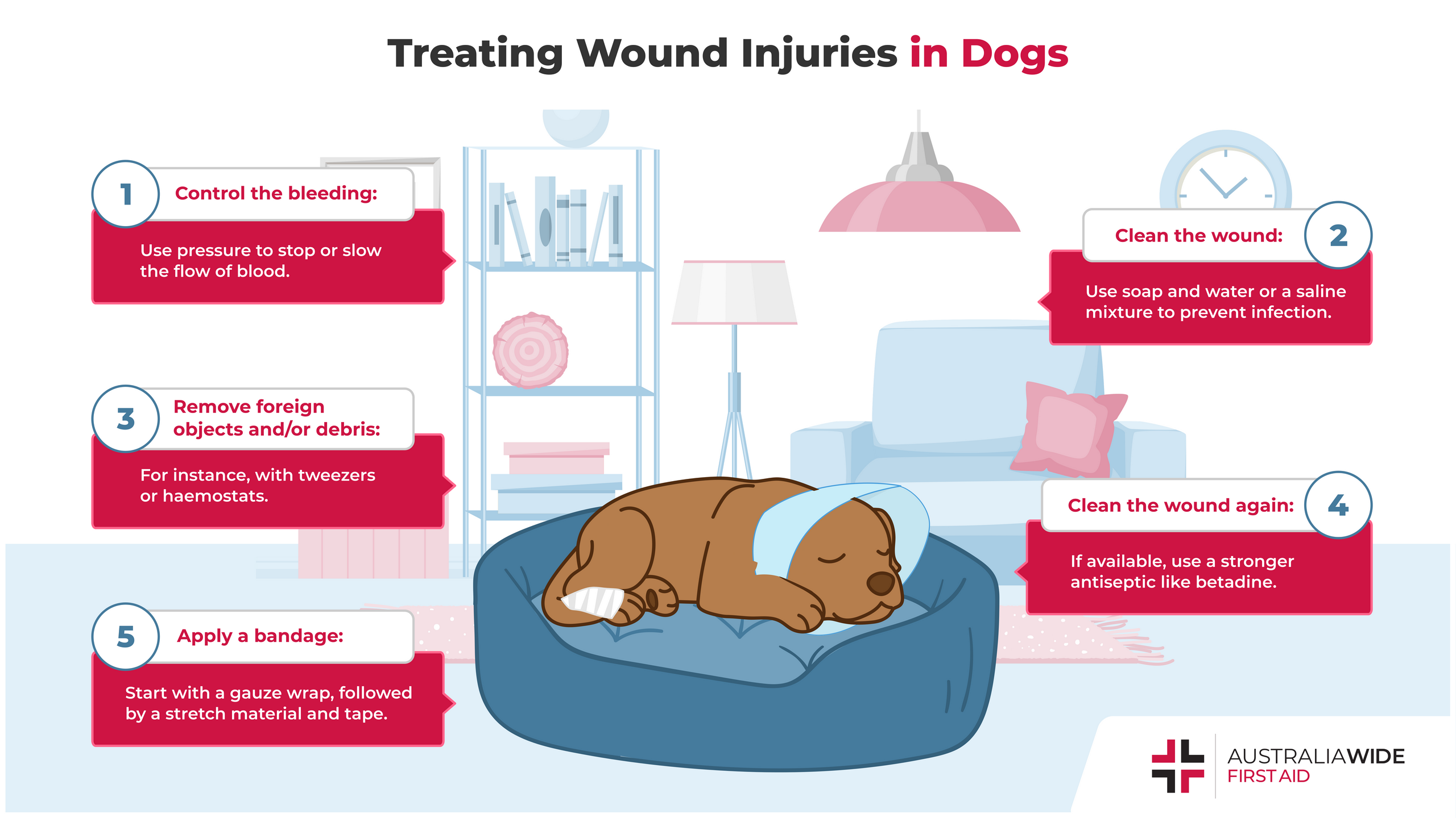 how to treat dog cuts and wounds at home quick healing tips 1
