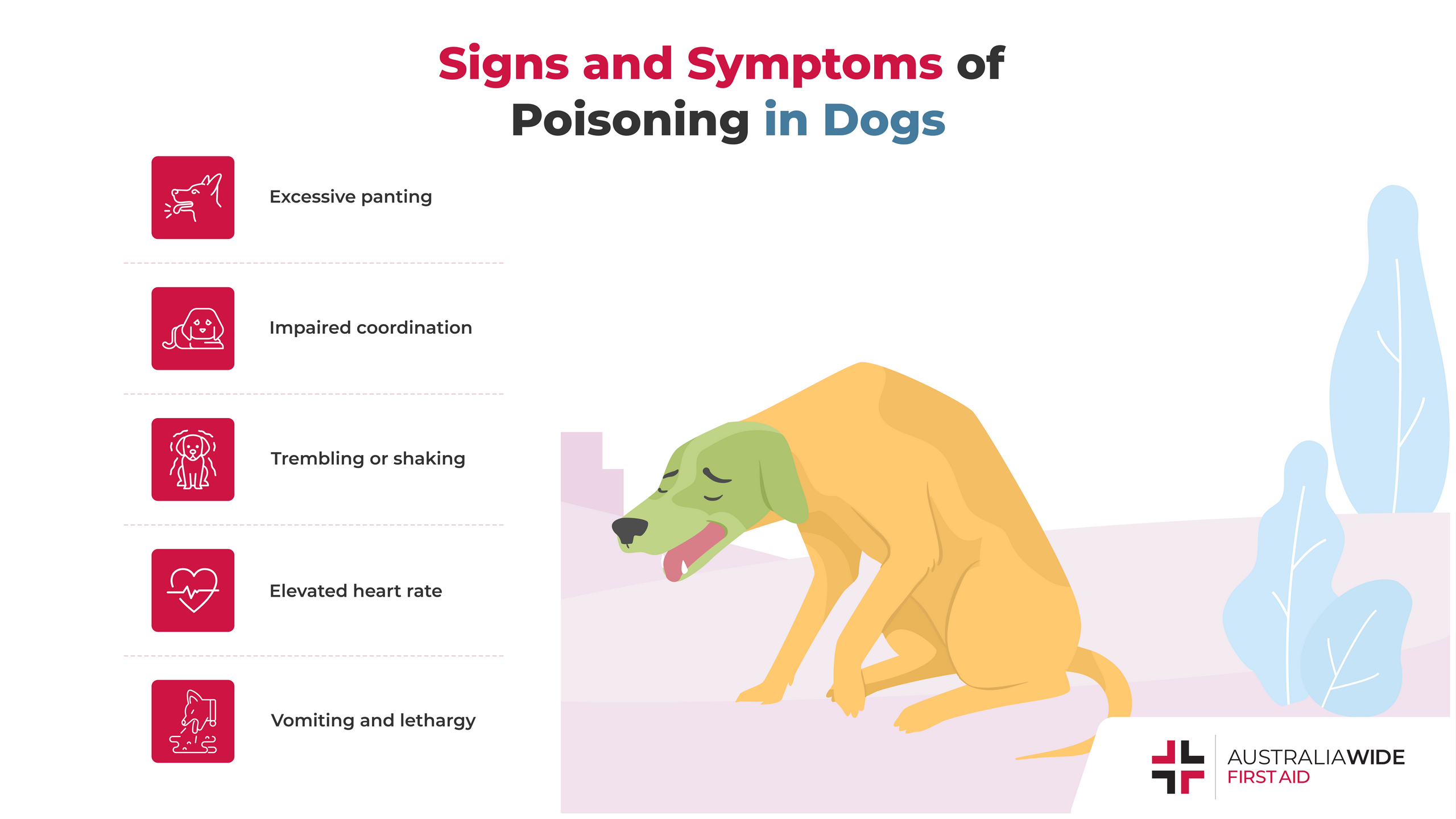 How to Treat Dog Food Poisoning at Home: Quick & Effective