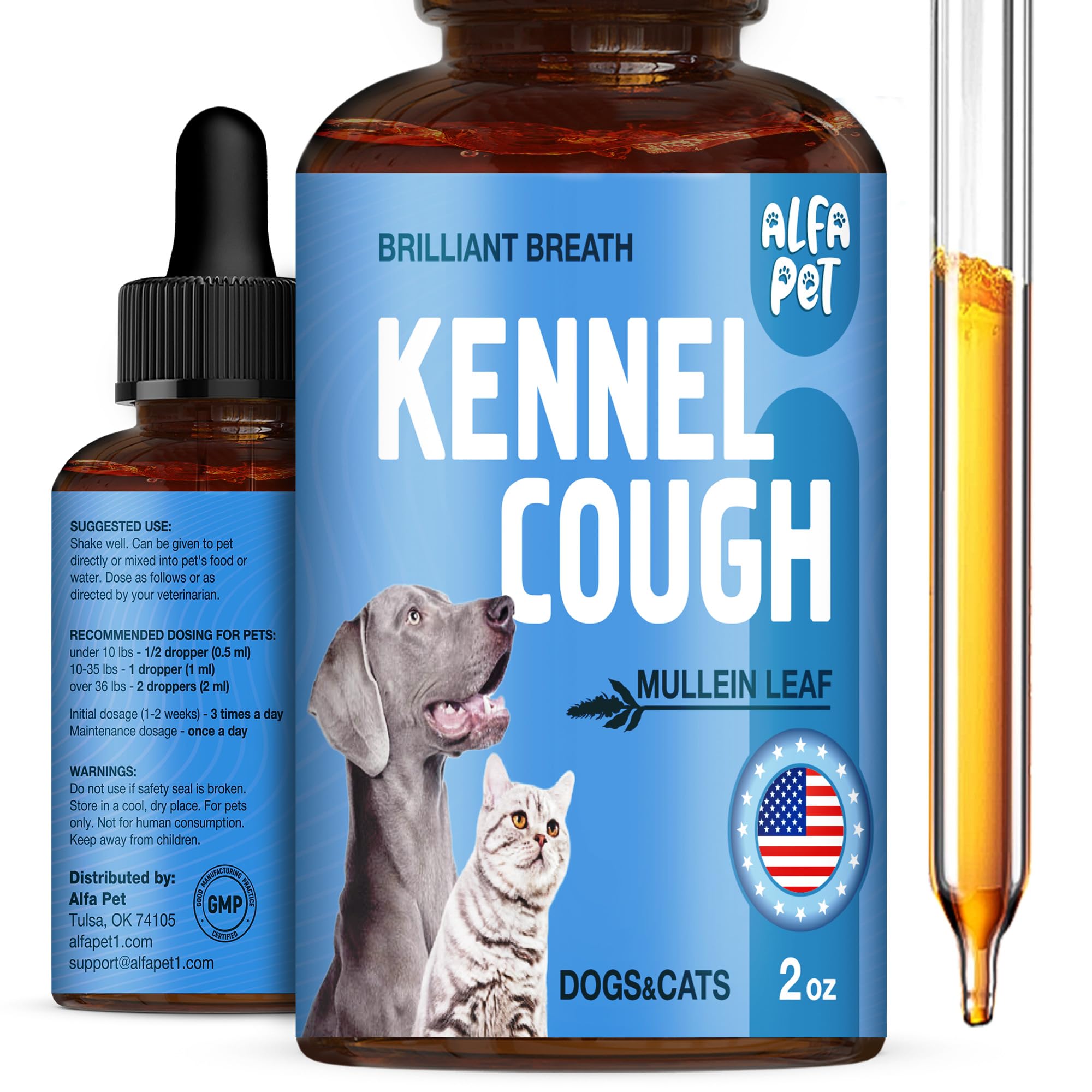 How to Treat Dog Kennel Cough at Home: Quick Relief Tips