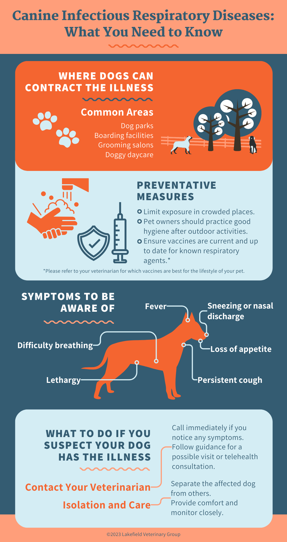 how to treat dog respiratory infections quick relief tips