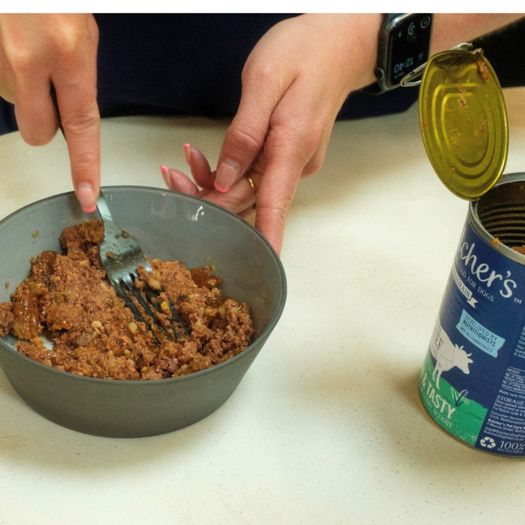 How to Wet Dog Food: The Ultimate Guide for Pet Owners