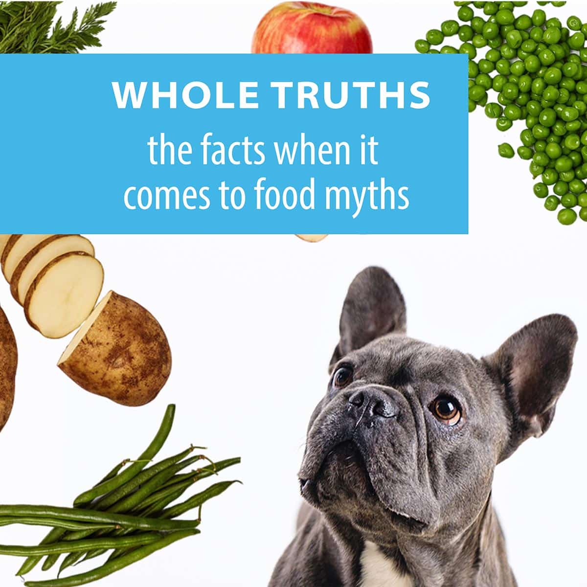Is Dog Food Bad for Your Pet? Uncover the Truth!