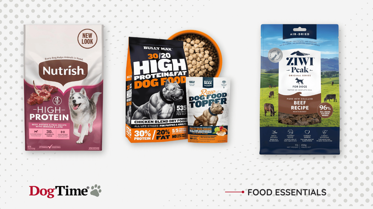 Is Dog Food High in Protein? Unveiling the Truth
