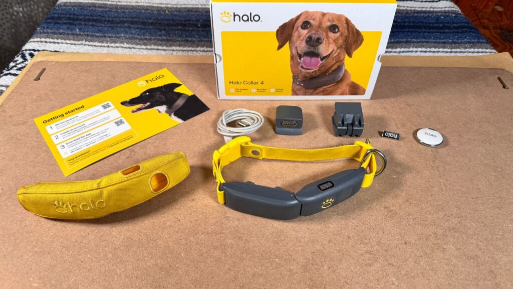 Is Halo Dog Collar Worth It? Unleash the Truth!