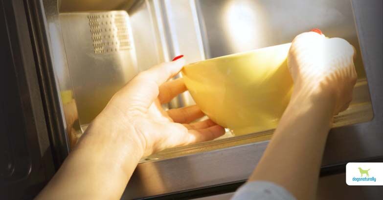 is it safe to microwave dog food unveiled truths