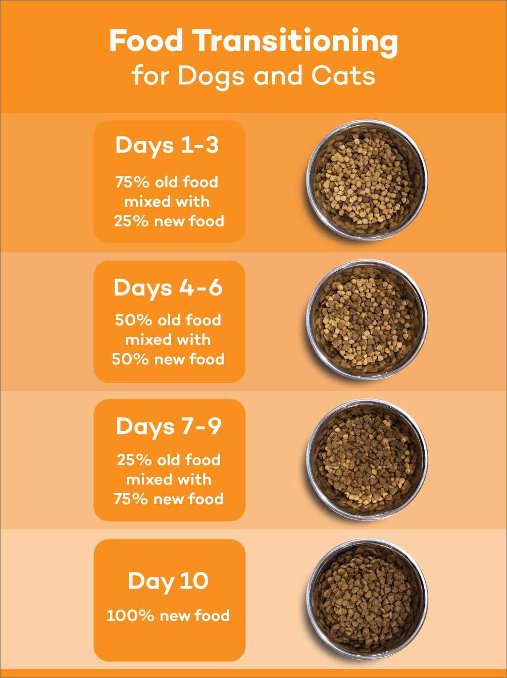 Is It Safe to Switch Dog Food? Essential Tips for Pet Owners