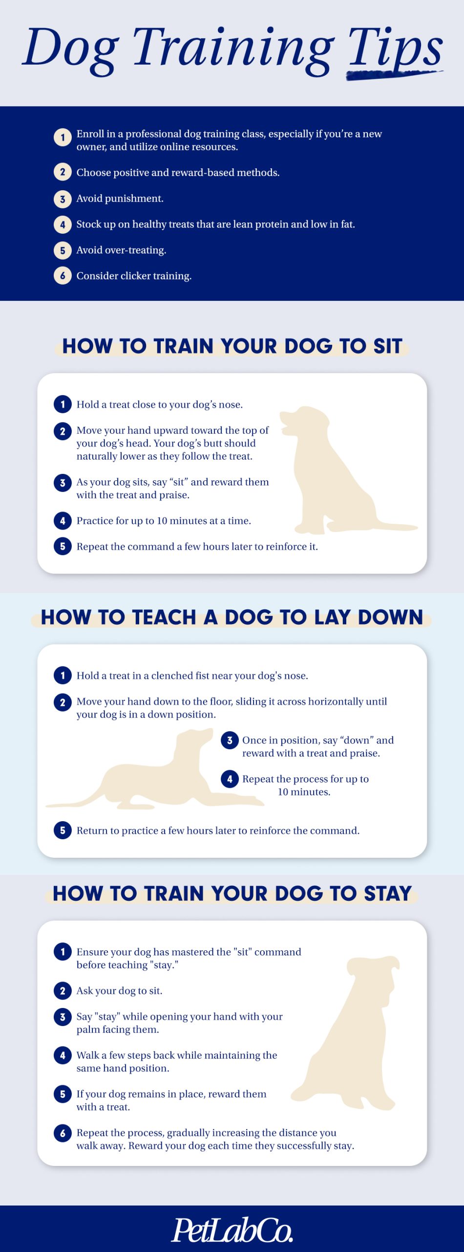 Is Training Good for Dogs: Unlocking the Benefits for Your Pet