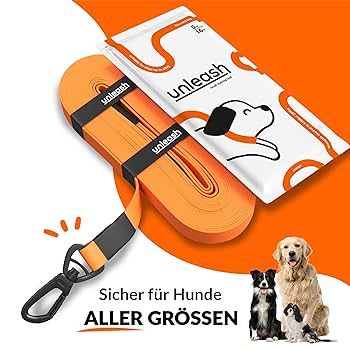 long dog leash for training unleash the secrets