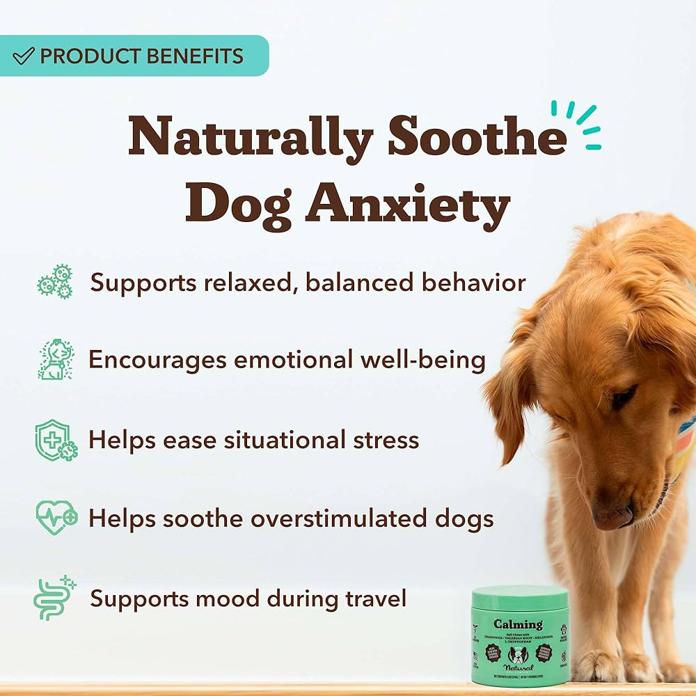 Natural Remedies for Dog Anxiety: Calm Your Pup Naturally