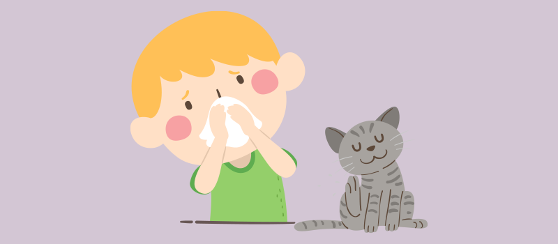 Pet Allergies in Babies And Children: Essential Parental Insights