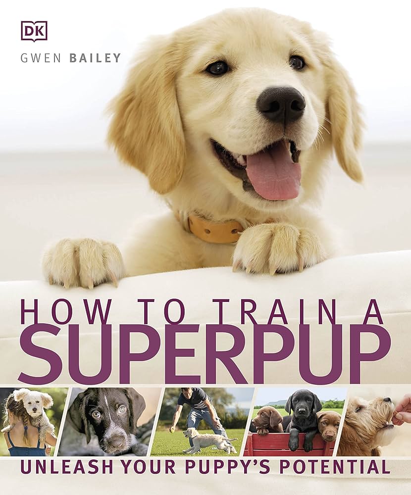 petland dog training unleash your pups potential