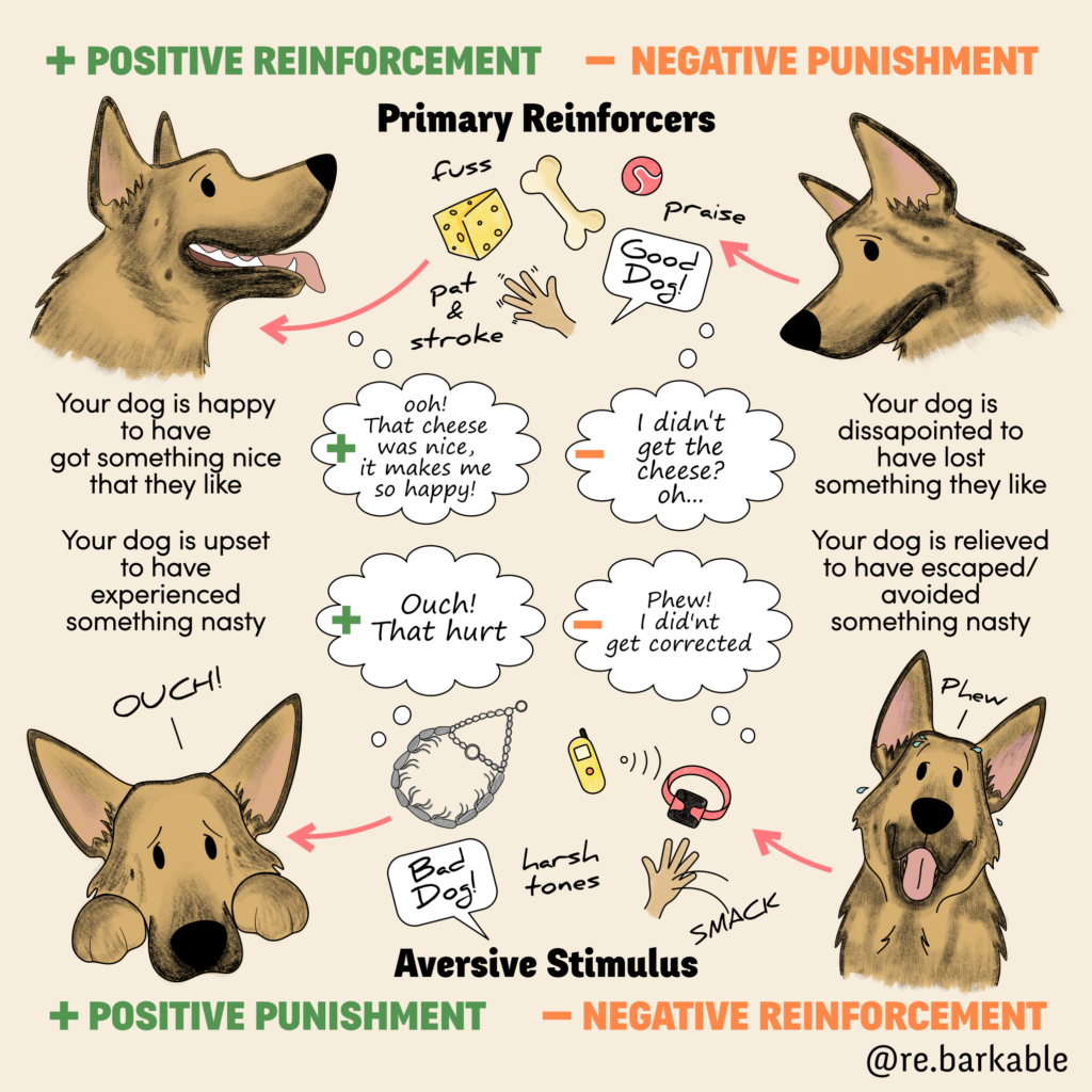 Positive Reinforcement Dog Training Techniques: Key Strategies