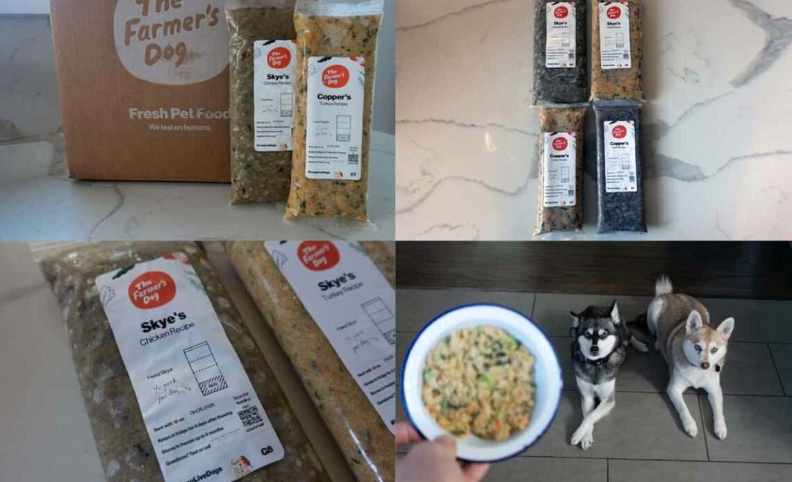 Pros and Cons of Farmer’s Dog Food: Unleashed Insights
