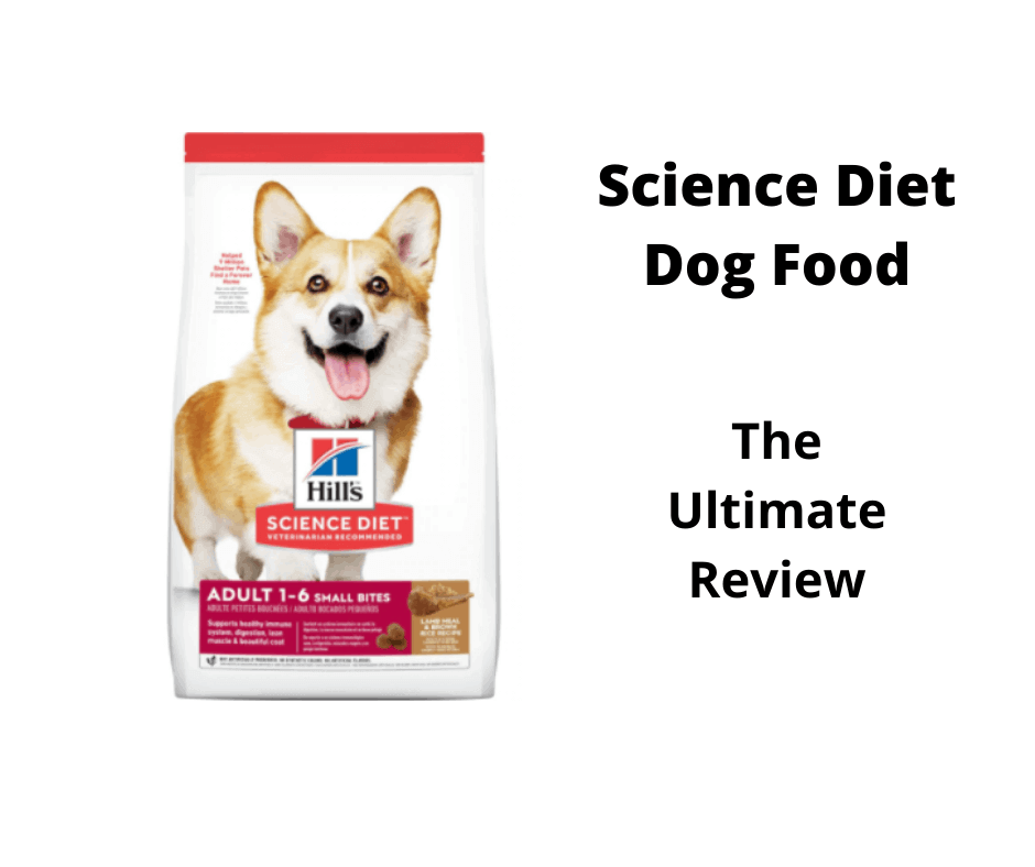 Pros And Cons of Science Diet Dog Food: A Deep Dive