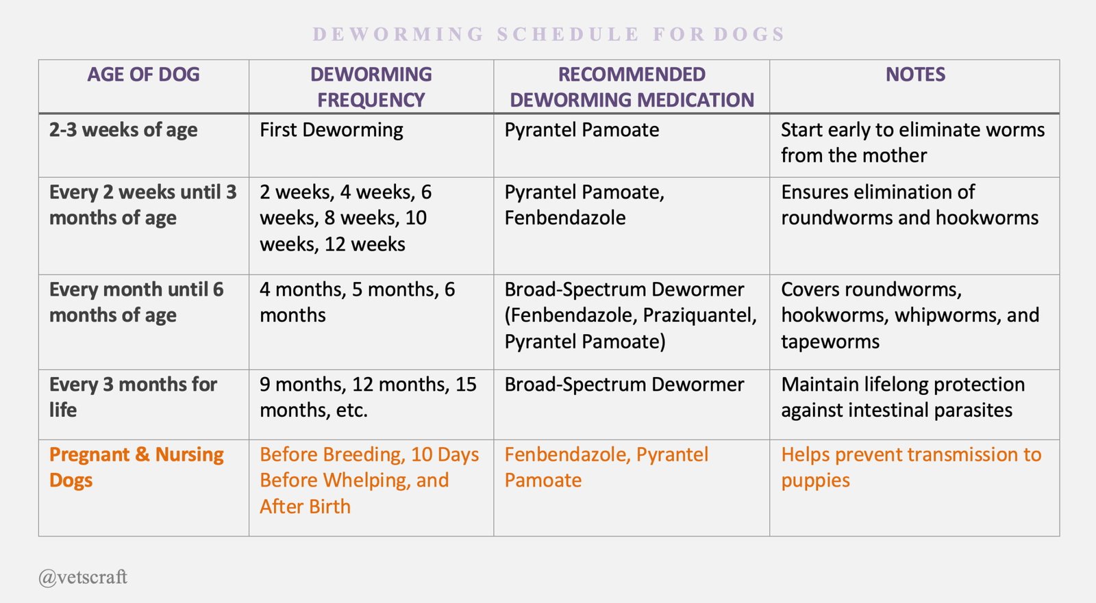 puppy deworming schedule vets guide to a healthy pup