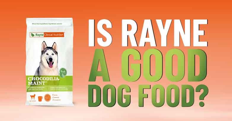 Rayne Dog Food Review: Unleashing Optimal Canine Health
