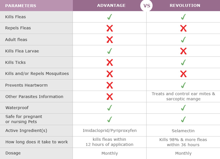 Revolution Vs Advantage II: Best Flea Defense?
