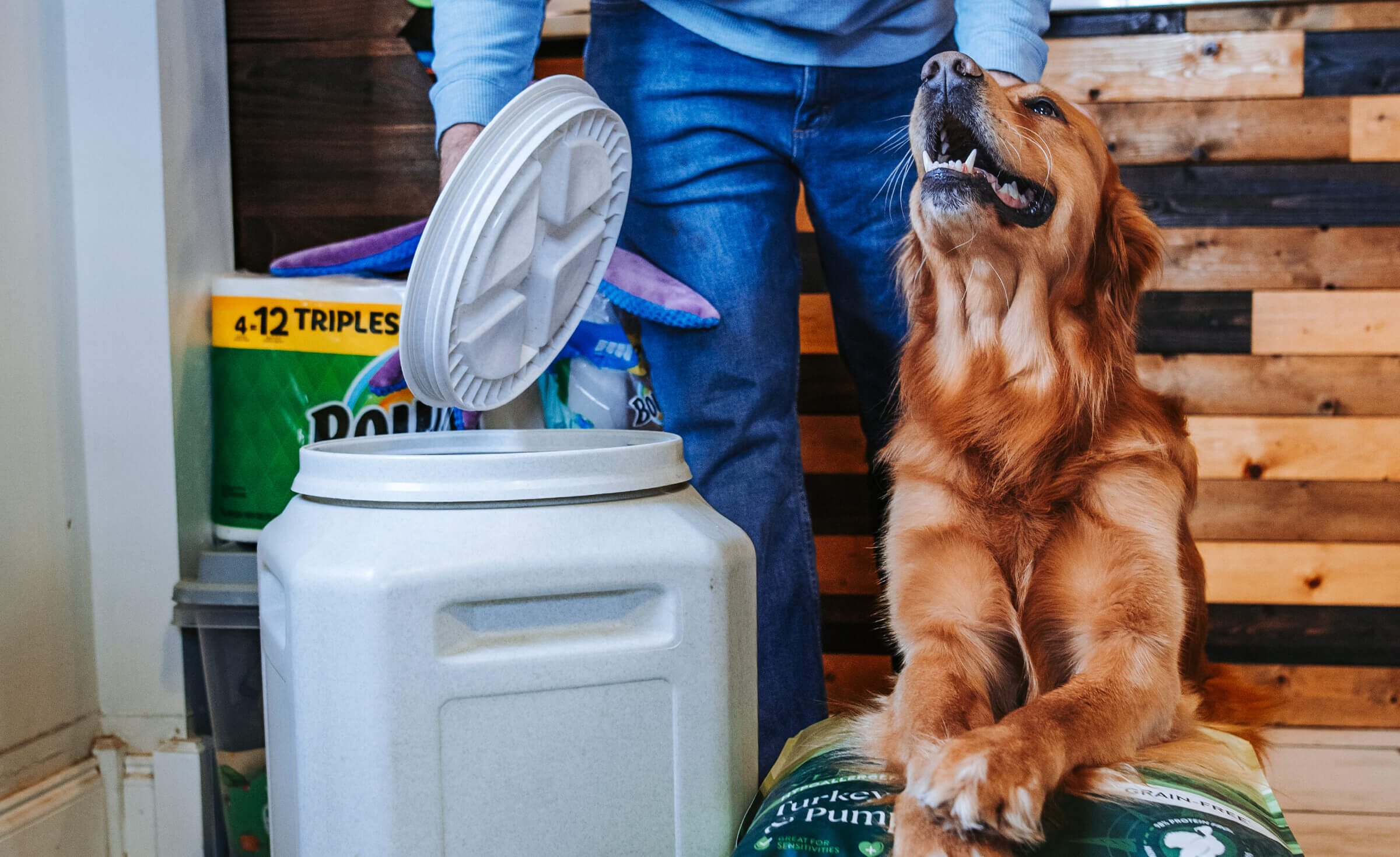 Should You Put Dog Food in a Container: Essential Tips