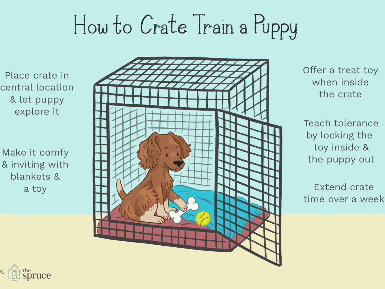 Should You Put Dog Food in Crate: A Pet Owner’s Guide