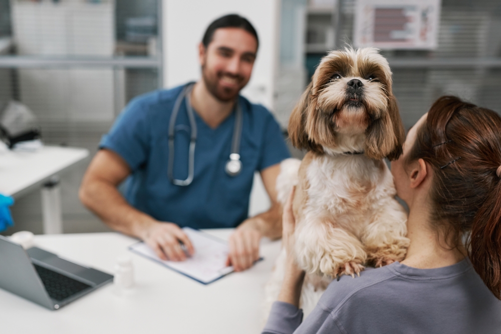 the importance of regular vet visits ensure your pets wellbeing