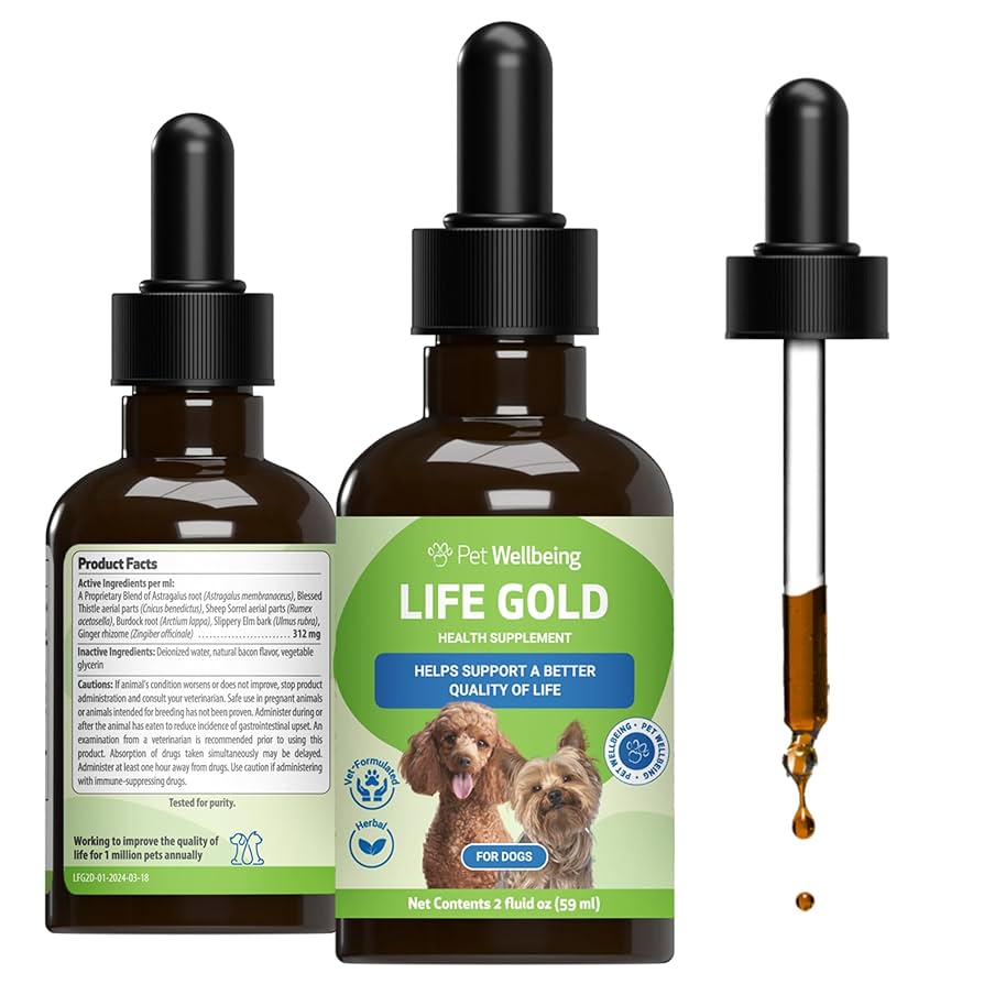 top 5 dog health supplements for optimal pet wellness