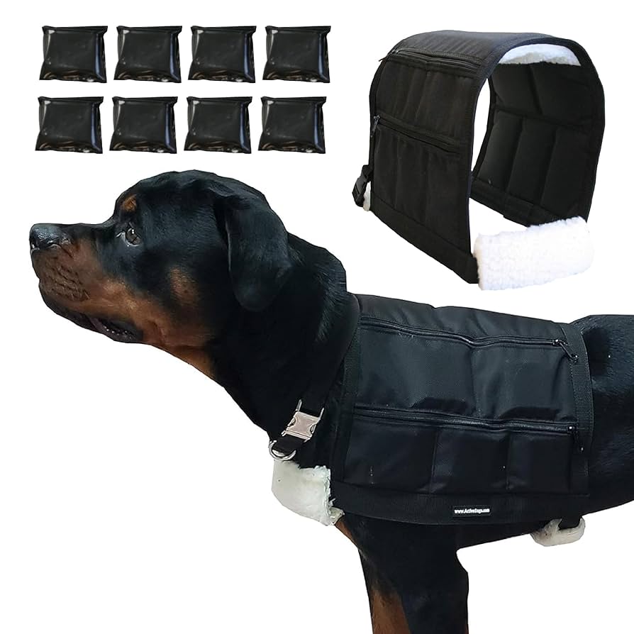 Vest for Dog Training Essentials: Boost Your Pup’s Progress