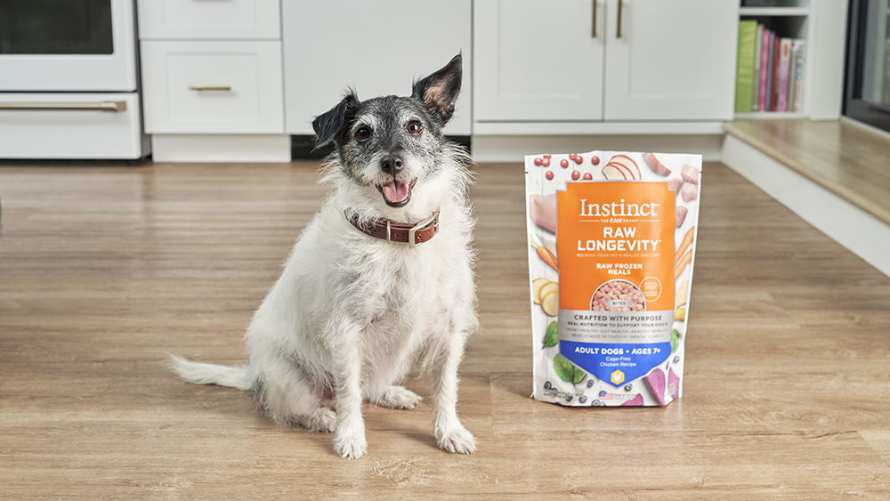 What are the Benefits of Senior Dog Food: Top Perks Unveiled