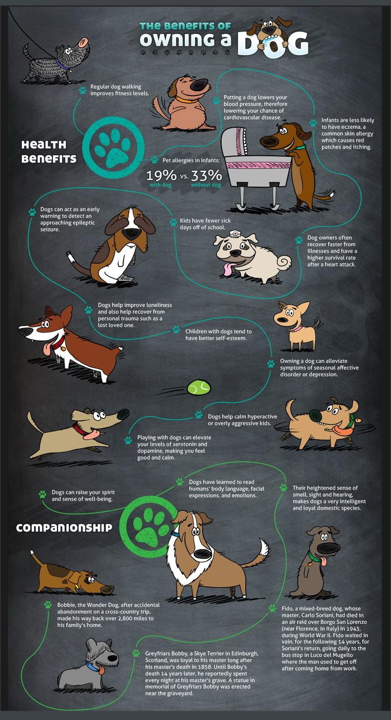 What Are the Pros & Cons of Dog Ownership?