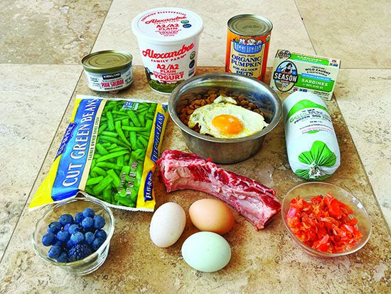 what can i add in my dogs food 10 nutritious boosts